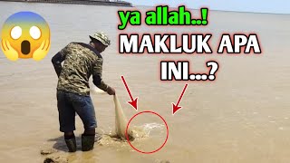 Detik² Mengerikan ketika jala ikan di laut dapat makluk yang mengerikan || menjala ikan di laut