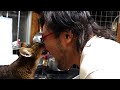 【5年目】猫に新年の挨拶したら噛まれる男【2026年】