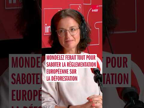 Miniature de la vidéo : Mondelez ferait tout pour saboter la règlementation européenne sur la déforestation...