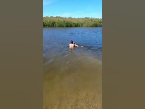 Тазы ит - YouTube