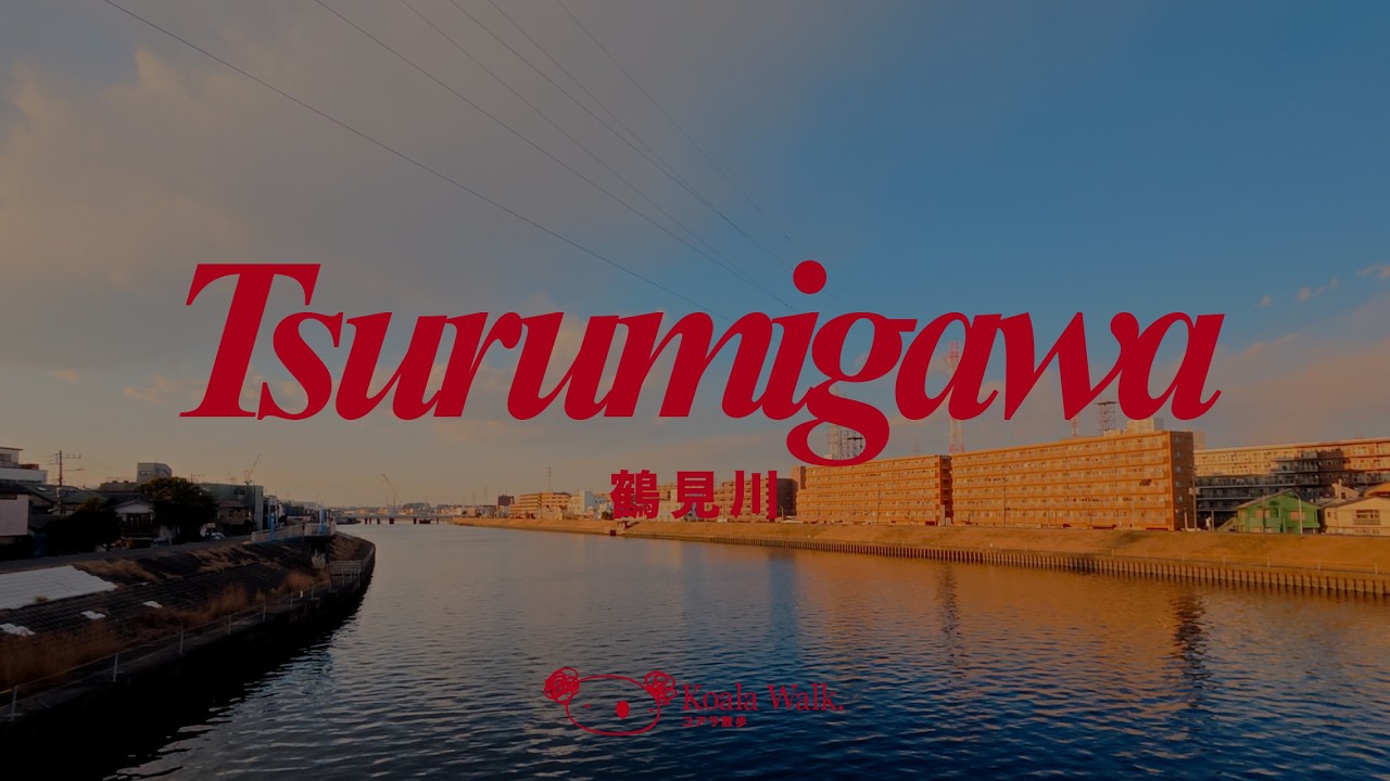 Quiet Evening by the Tsurumi River ｜夕暮れの鶴見川を静かに歩く *( 。 0  。 )*