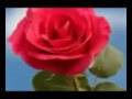 دعاء 14 رمضان 1437 الشيخ إدريس أبكر 