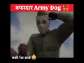  army dog  shortsyoutubeshortsarmydog