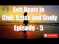 Soft beats for chill relax and studydj saqibepisode  5