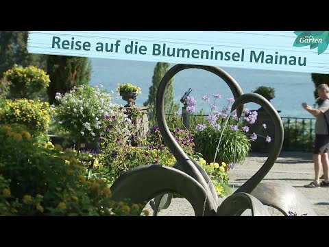Mainau: Faszinierende Blumeninsel | MDR Garten