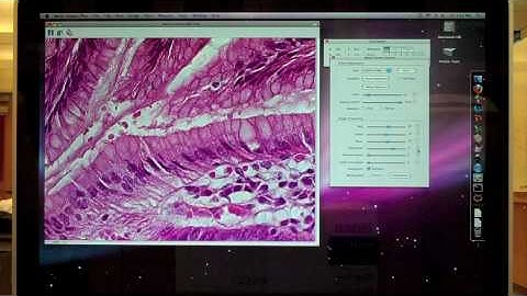 Image Capture Tutorial