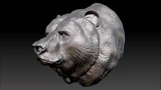 3D Models