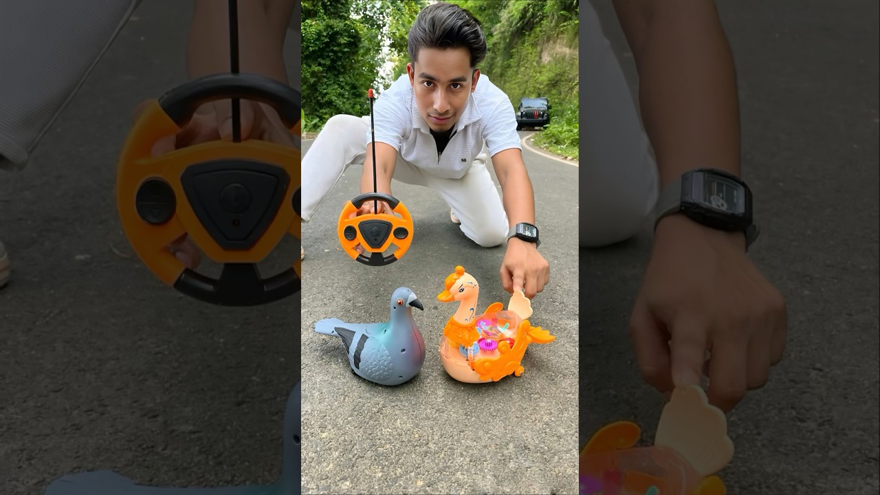 Natun Remote Control Birds Ki Video🔥