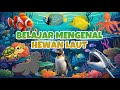 BELAJAR MENGENAL HEWAN LAUT, IKAN BADUT, PINGUIN, IKAN HIU, IKAN PAUS, IKAN BUNTAL