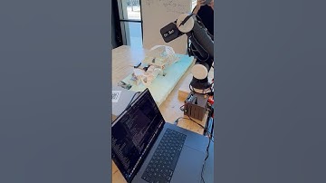 Mechatronic Design Project 2025 - Dr. Bot