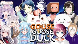 【 Goose Goose Duck 】これ人狼ゲームなのかアヒルさんで冒険もち～　#大福の大冒険 #vtuber #グースグースダック #コラボ