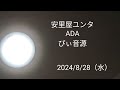 安里屋ユンタ ADA ぴぃ音源