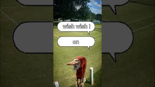 Analog Horror Funk English S Be Like