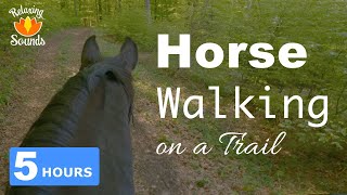 (5 Hour) Relaxing Horse Riding Sounds. Sound of horse hooves for Sleep, Relaxation, meditation screenshot 5