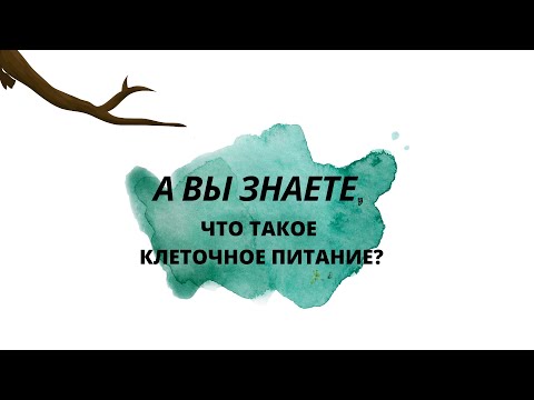 Клеточное питание. Как