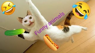 FUNNIEST CATS AND DOGS|FUNNY ANIMALS VIDEO|FUNNY ANIMALS VIDEO 2023 part 5 🐶😺 by The budgie birds 850 views 2 months ago 15 minutes