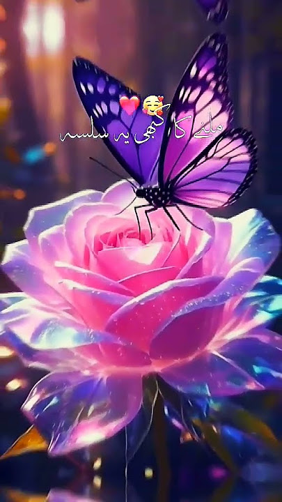 https://vt.tiktok.com/ZSkwurdVr/