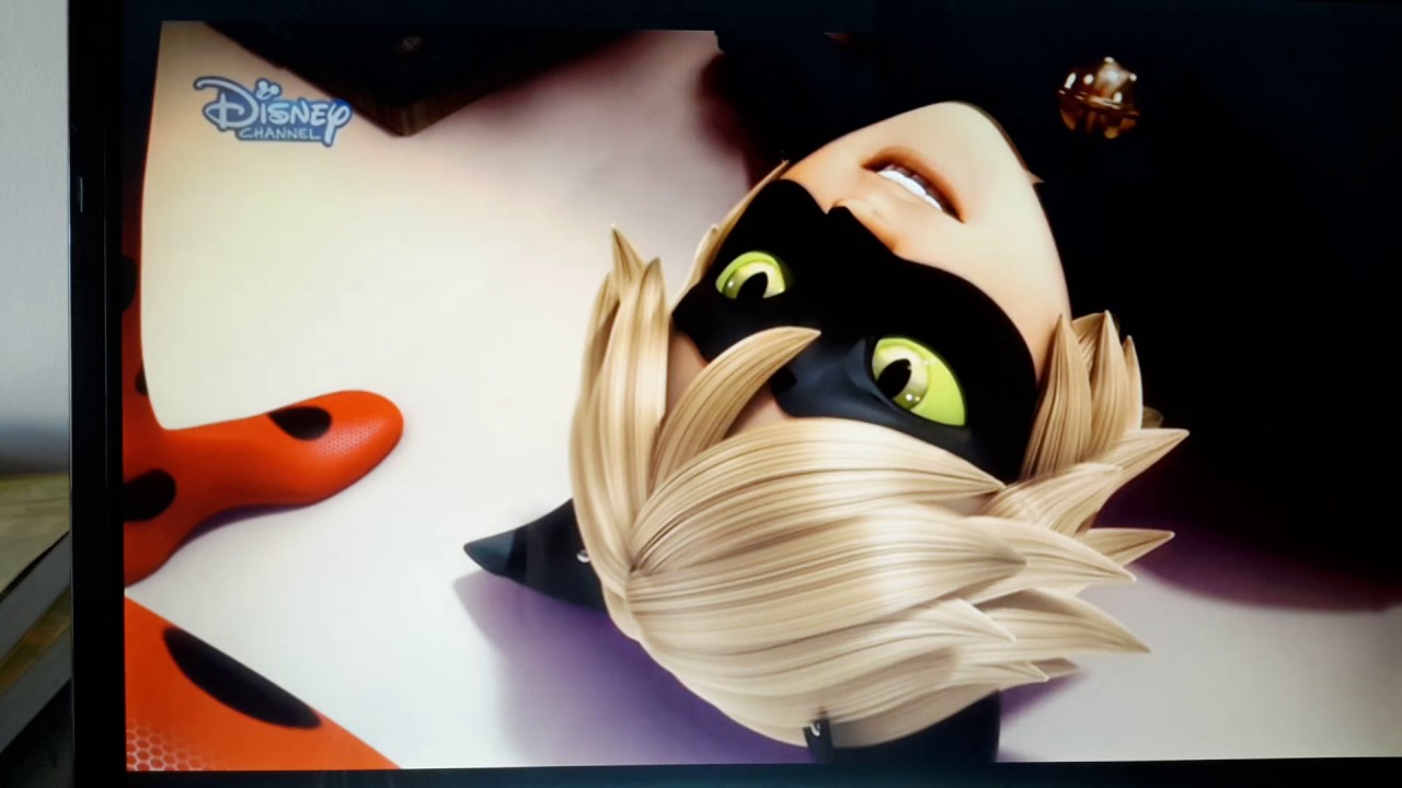 Mucize uğurböceği ile kara kedi taklitçi YouTube