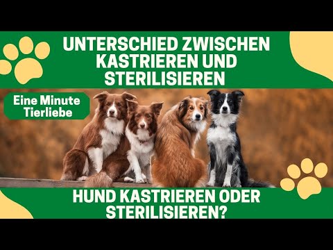 Was ist der