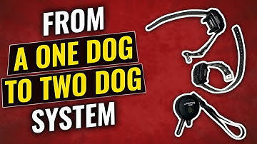 ET 300 Mini Educator adding a second collar