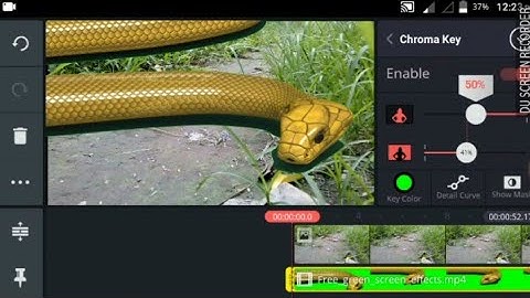 Easy Process Kine master use green screen snake....👈