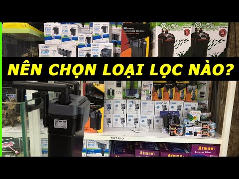 Video: Các Loại Bộ Lọc Hồ Cá Là Gì