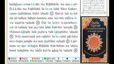 ختمة من مصحف التجويد باللغة الألمانية الصفحة رقم 573
