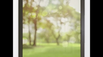 DAYLIGHT CORTIZO ARCH INVISIBLE WINDOWS