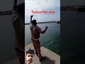 catch fish 🐟 viral video 📸#fishing #shortvideo #subscribemychannel #shortsfeed