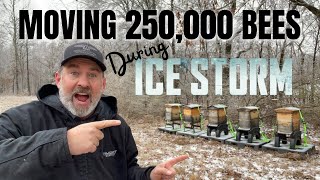 This got DANGEROUS Very Quickly! | Moving 1/4 Million Honey Bees During Ice Storm!!!