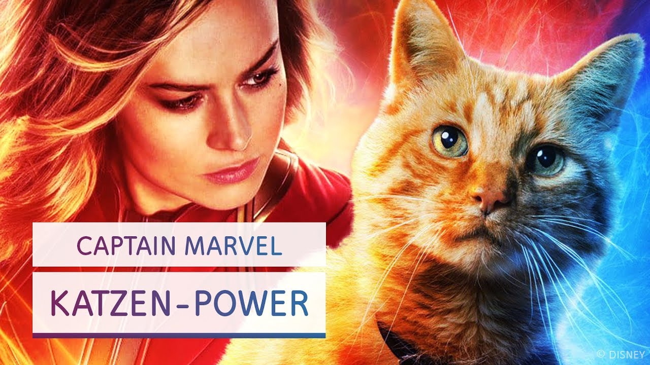 Captain Marvel Katze Captain Marvel Katze