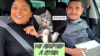 WE ADOPTED A KITTEN 🐾 | 8 WEEKS OLD | PET SUPLIES HAUL | VLOG | Debby Clementina