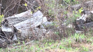 Historic Mt. Olive Cemetery now owned by the City of Hattiesburg