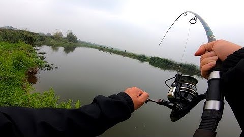 Ba Tiêu Thần Chưởng Và Trắm Đen Có Gai | Chuyện Câu Cá