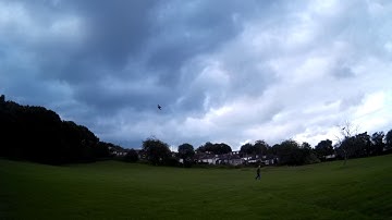 RealACC X210 Test Flight At The Park