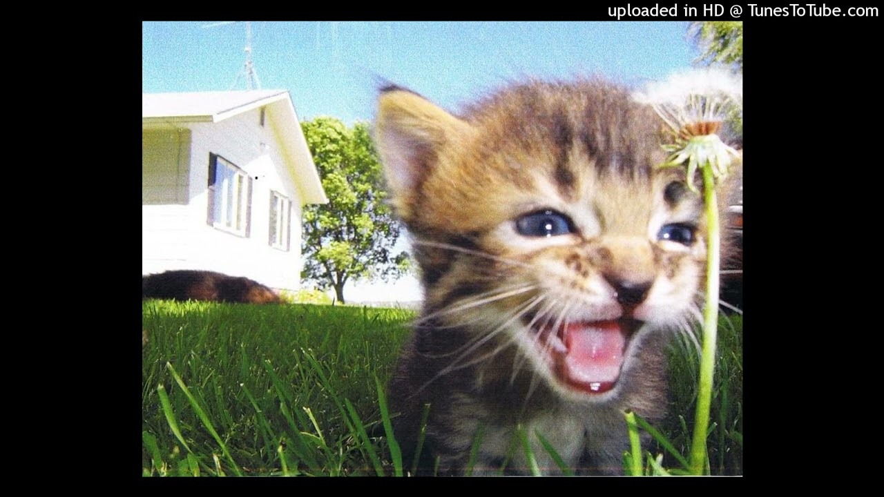 maxii tenkay 444jet type beat