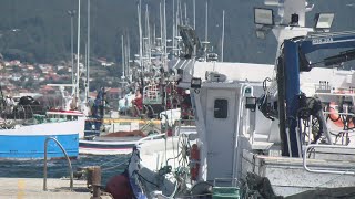 Preocupación entre o cerco galego tras esgota-la cota de sardiña
