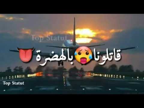 كلمات أغنية صاكادو في ضهري الغربة بين عينيا المشهورة على تيكتوك 