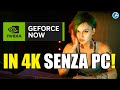 Geforce now per giocare in 4k non serve pi il pc