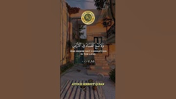 سورة القصص الآية 77 تلاوة خاشعة