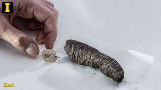 Herculaneum Scrolls first full text Big updates from the Vesuvius Challenge
