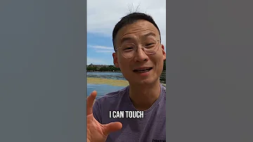 How I Feel About Competition Startup Softwareengineer YouTube Oona 