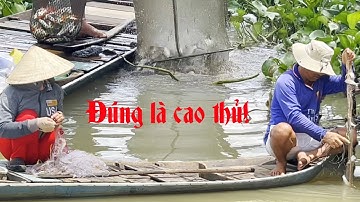 Per ongeluk een visnetmeester ontmoet, meer dan tien kilo vis in het net gevangen - Mekong rivier