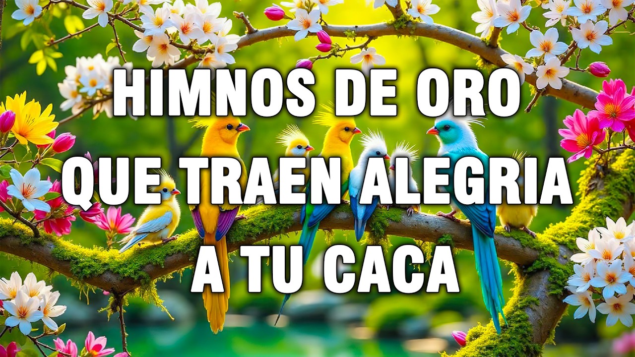 Himnos De Oro Que Traen Alegria A Tu Caca - Himnos Cristianos De Paz Y Tranquilidad