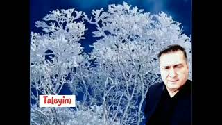 Taleyim   musiqisi  Oktay  Kazımi sözlər  Cabir  Novruz