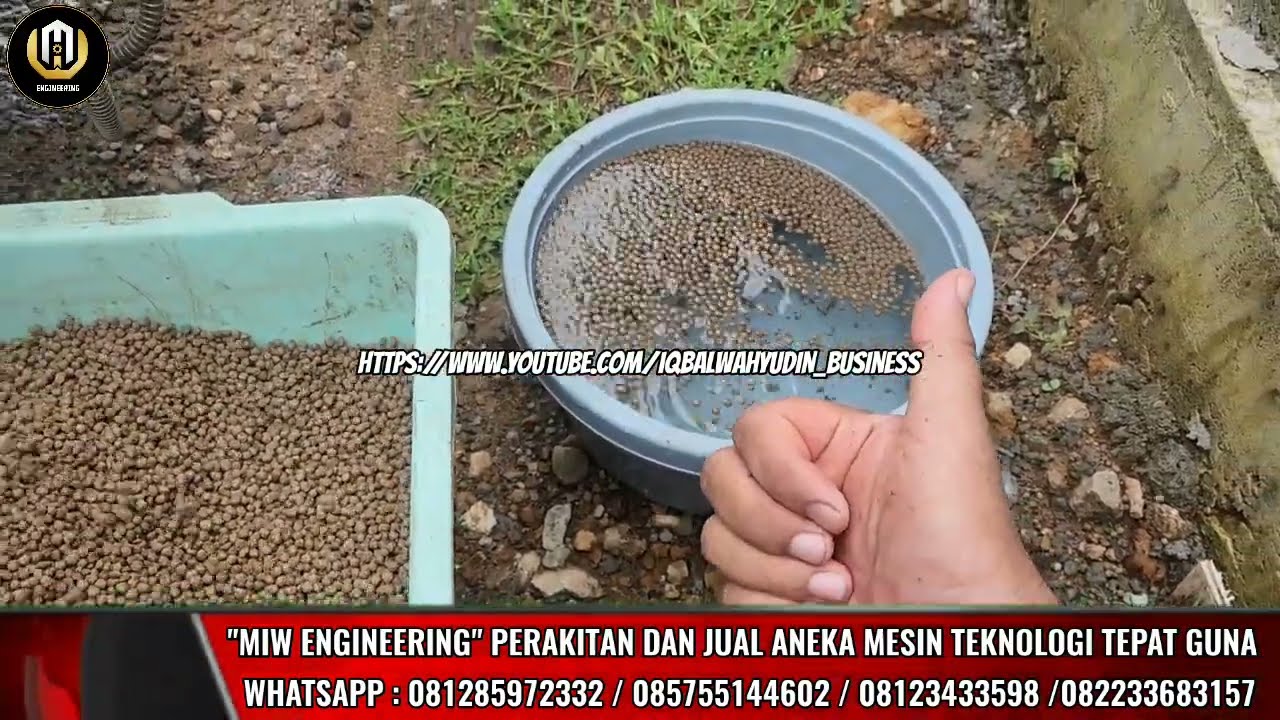 Solusi Pakan Ikan Lele Mandiri Buat Pelet Ikan Apung Sendiri Dengan Mesin Extruder Cetak Pelet Apung