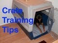 Crate Training Tips for Dog Training Crate Training Tips for Dog Training