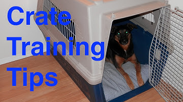 Crate Training Tips for Dog Training