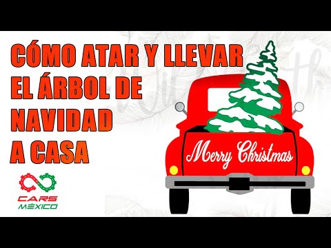 Video: Cómo Atar Un árbol De Navidad