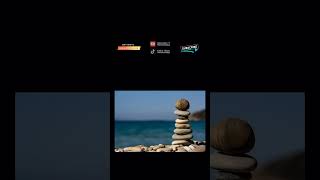 Download Lagu Fakta menarik | Apakah kamu tahu? #youtubeshorts #videoshorts #faktaunik #faktamenarik #fakta #unik MP3